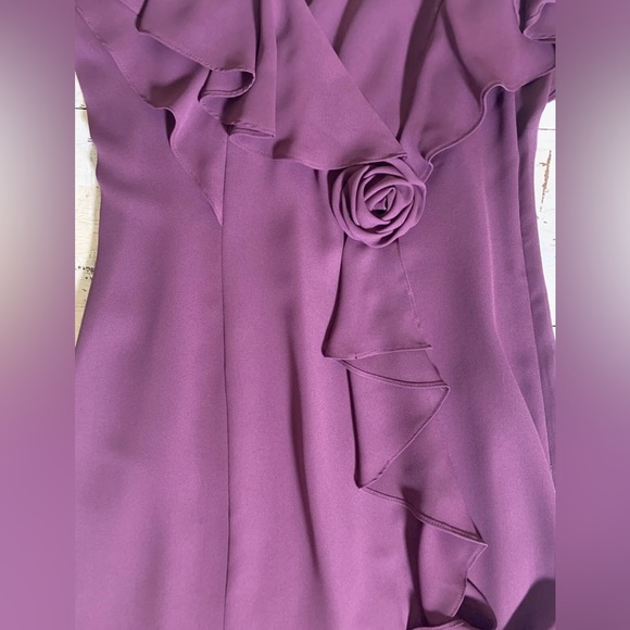 Vintage BB Collection Sheer Dress with Satin Slip Rose & Ruffles - Size 6 - Picture 3 of 7